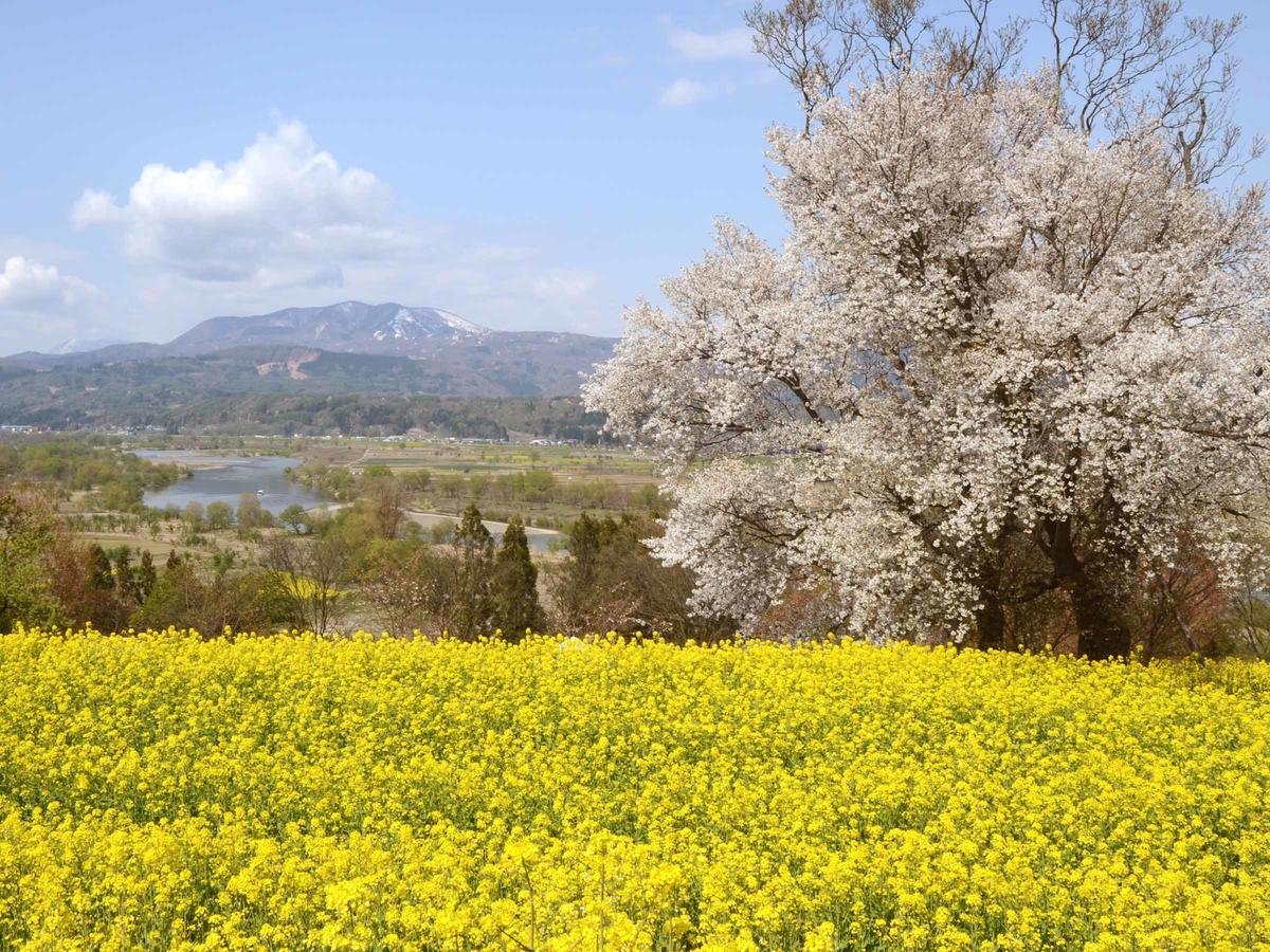 Togari Onsen Alpen Plaza Ξενοδοχείο Iiyama Εξωτερικό φωτογραφία